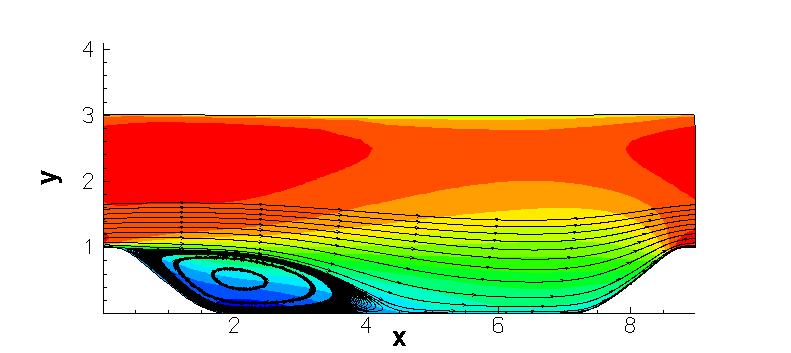 generic picture of periodic hill case