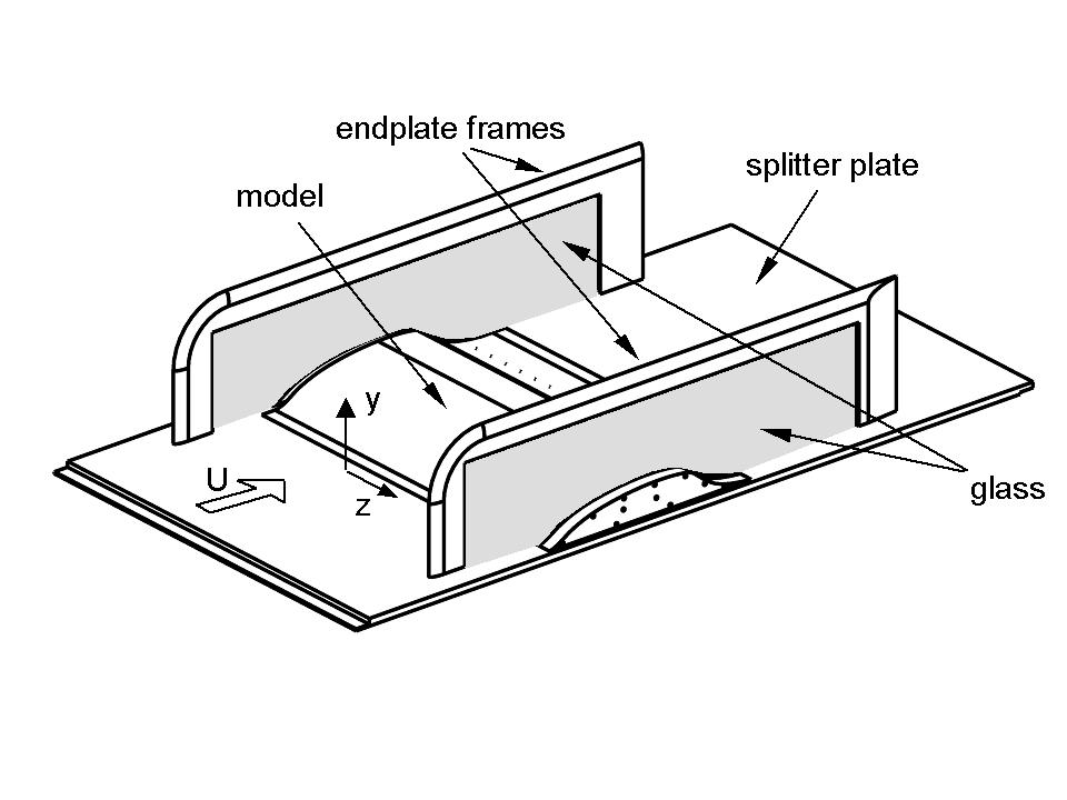 schematic of hump model