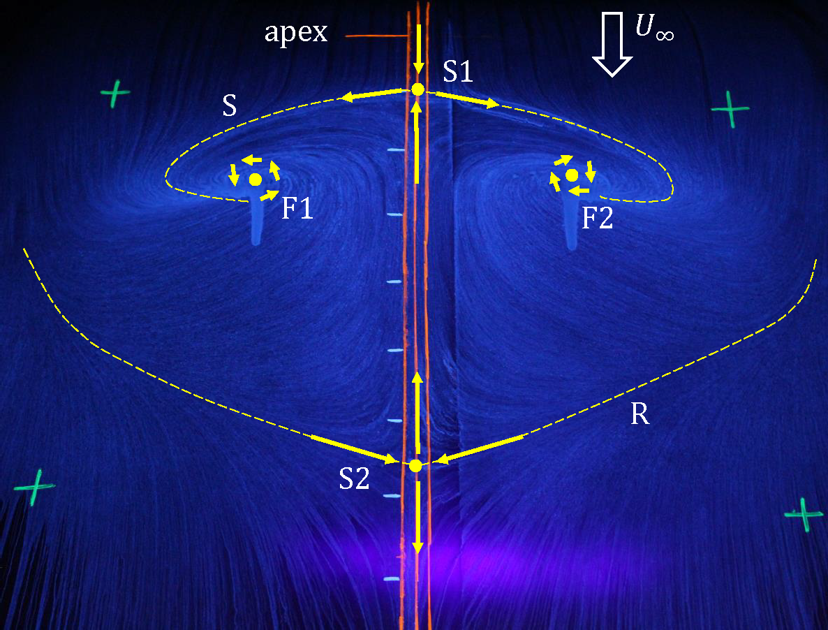 Oil flow visualization example